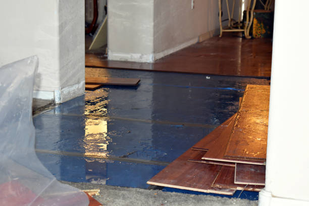 Professional Sewage Cleanup technician working in De Soto, WI